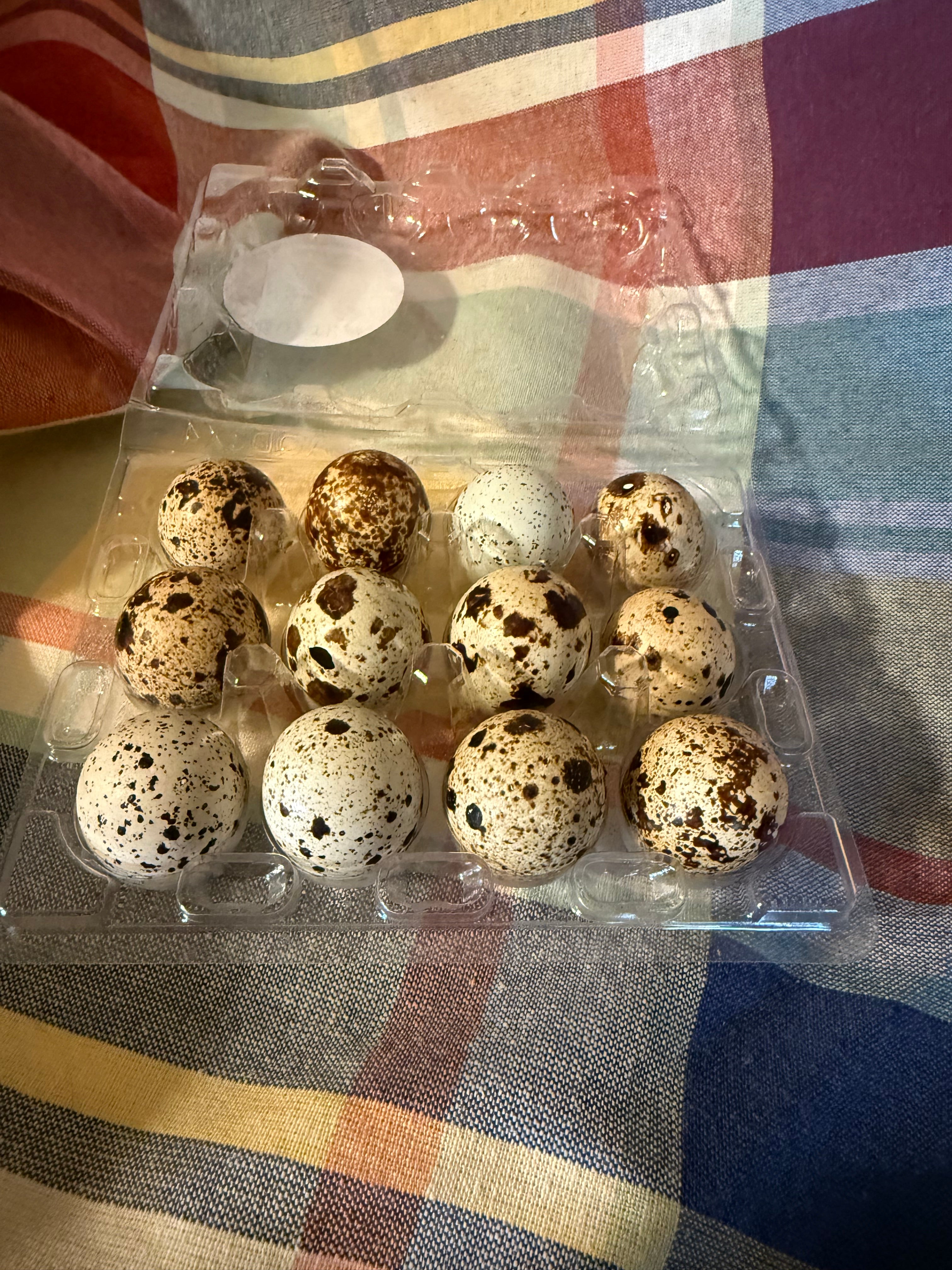 Quail Eggs