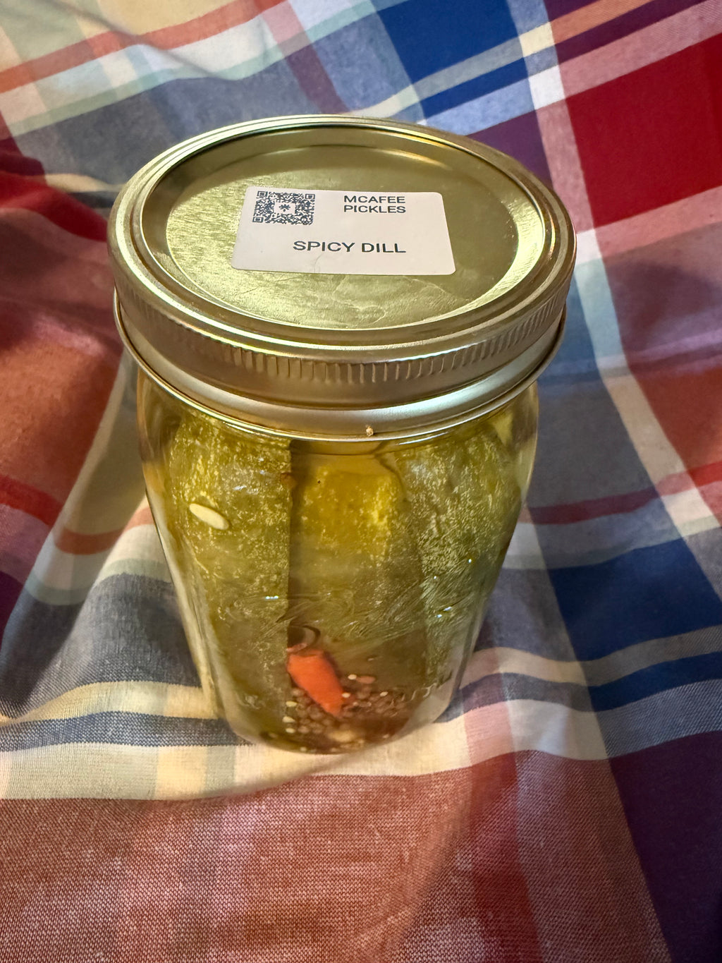 Spicy Dill Pickles