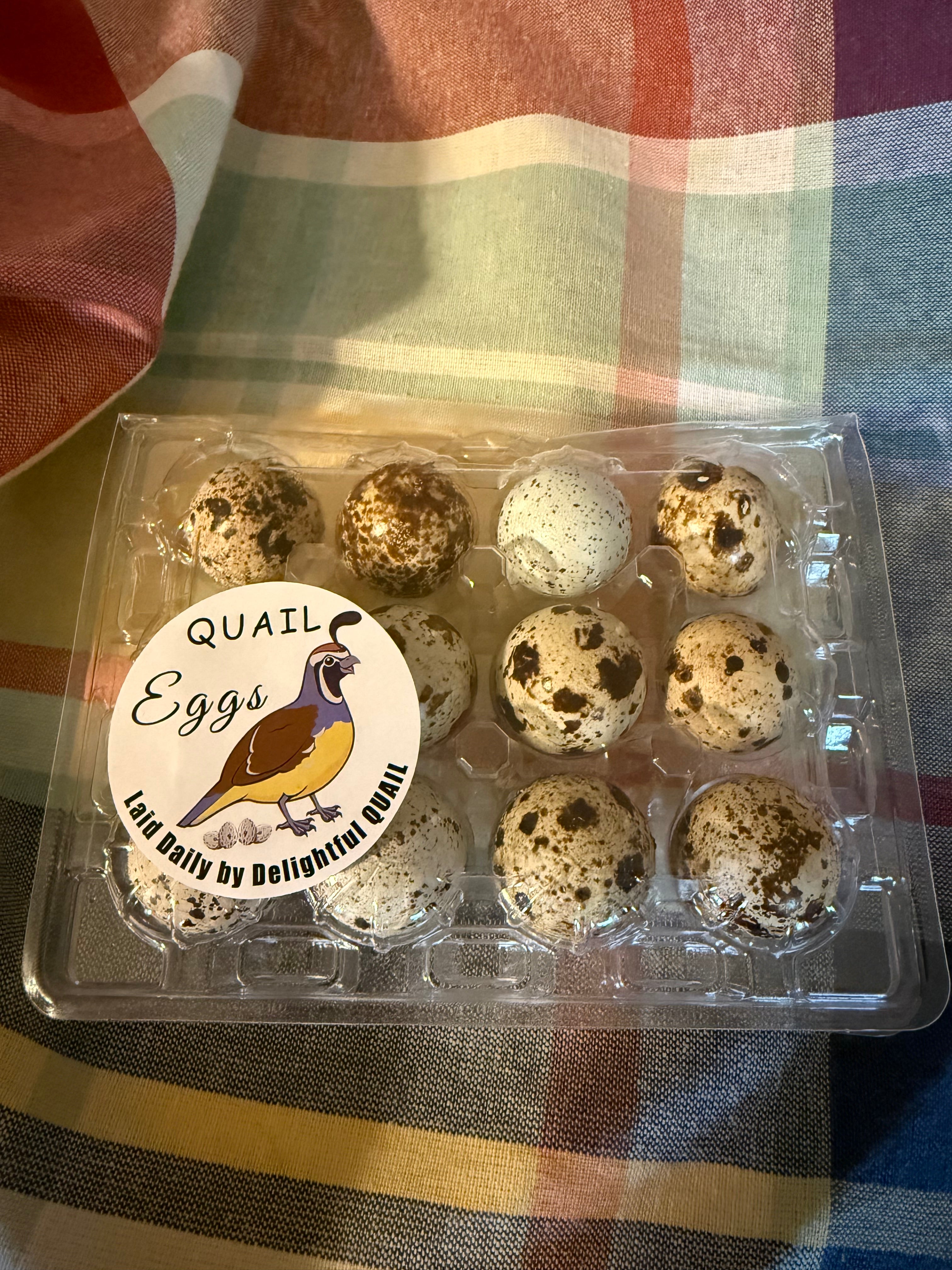 Quail Eggs