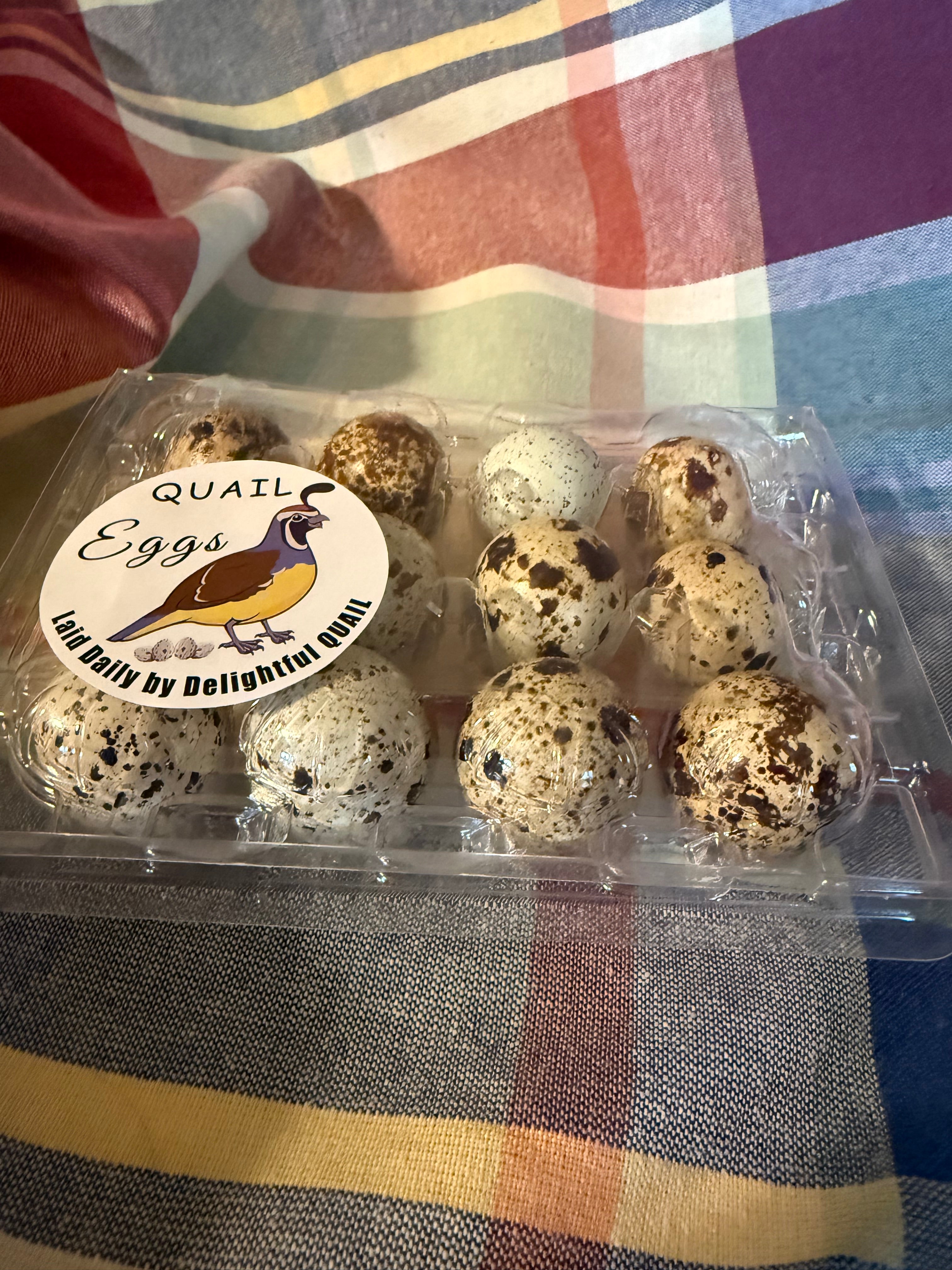 Quail Eggs