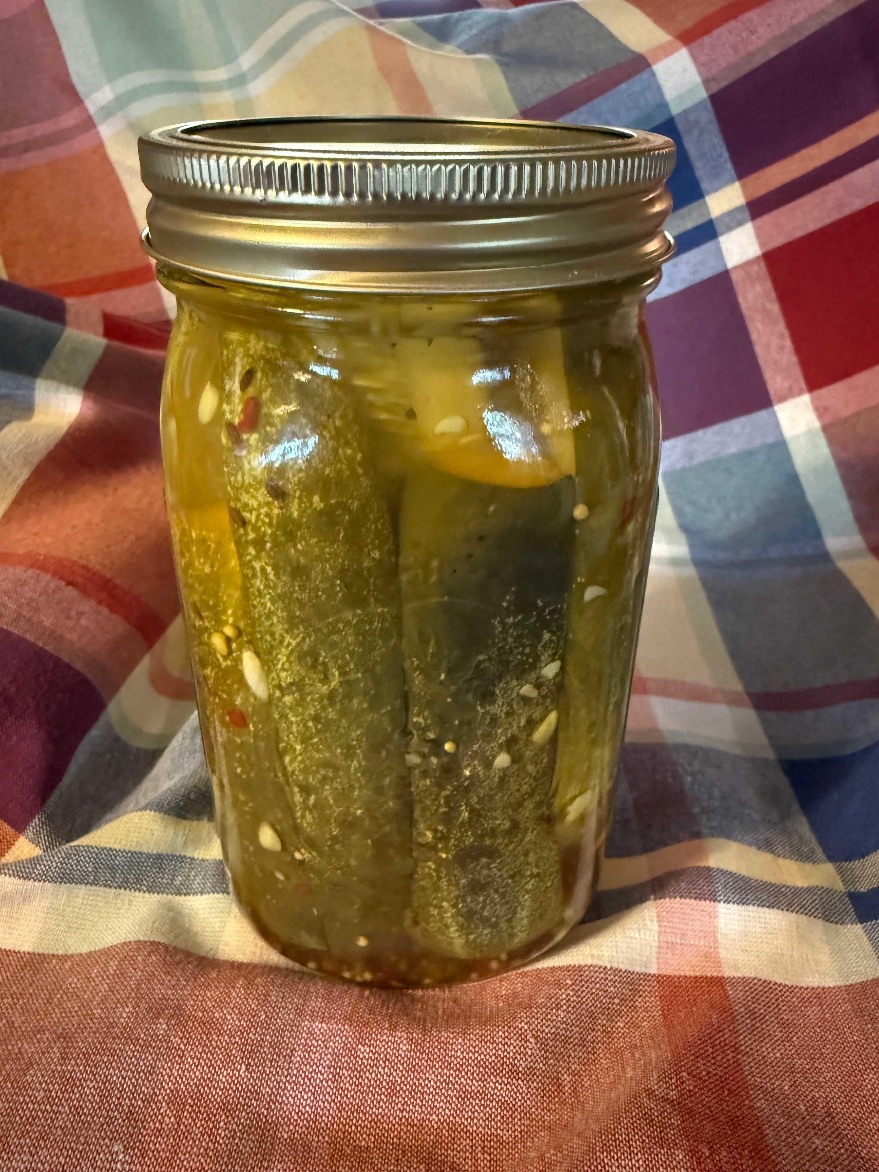 Spicy Dill Pickles