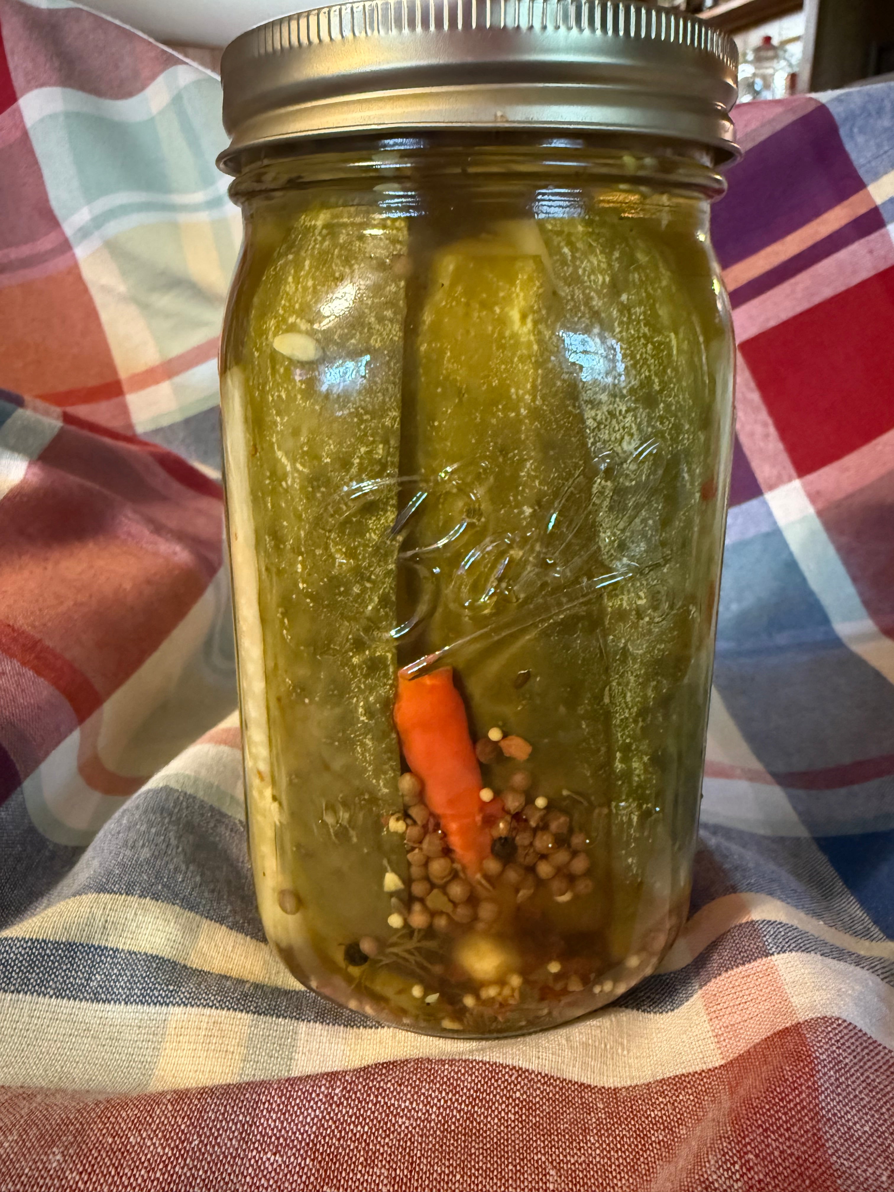 Spicy Dill Pickles